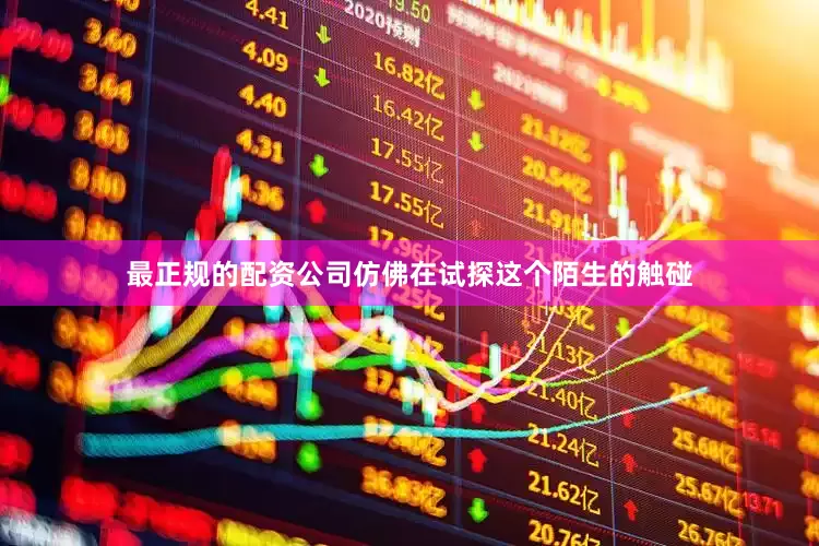 最正规的配资公司仿佛在试探这个陌生的触碰